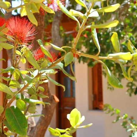Olga Studio Kouremenos Appartement Palekastro
